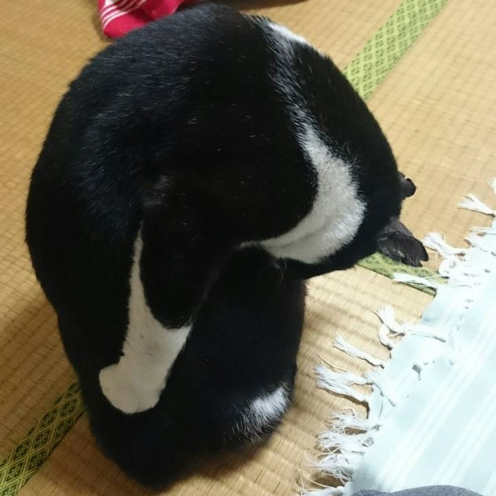 9faf2774 143a 4b33 a7b6 1375f213303d 1510841936884