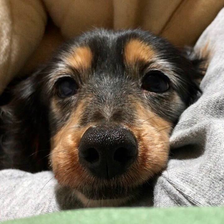 9faf7c35 a876 4f41 b3f0 130a31857b1d 1518935443023