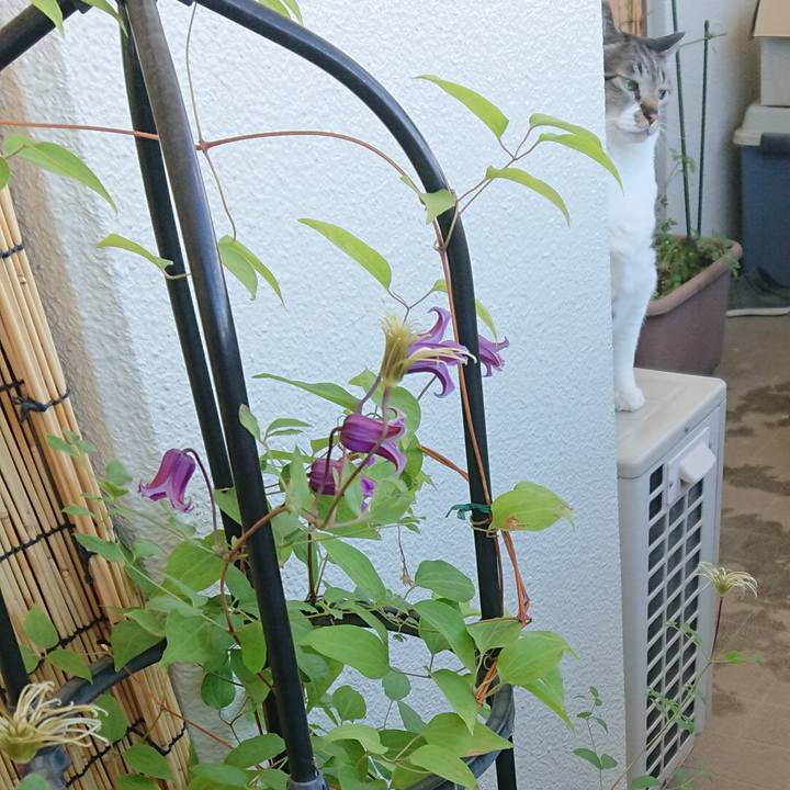 9faf932e 4027 4269 9565 de9b727300d2 1560665478475