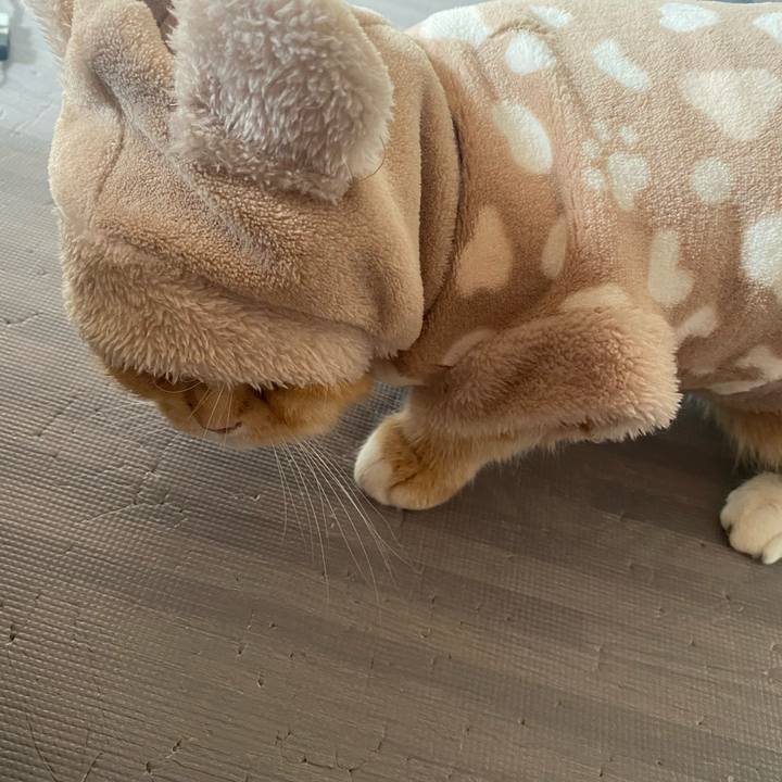 9fafdfd8 d0b5 4396 a70f 4c92f8945ad4 1644032372110