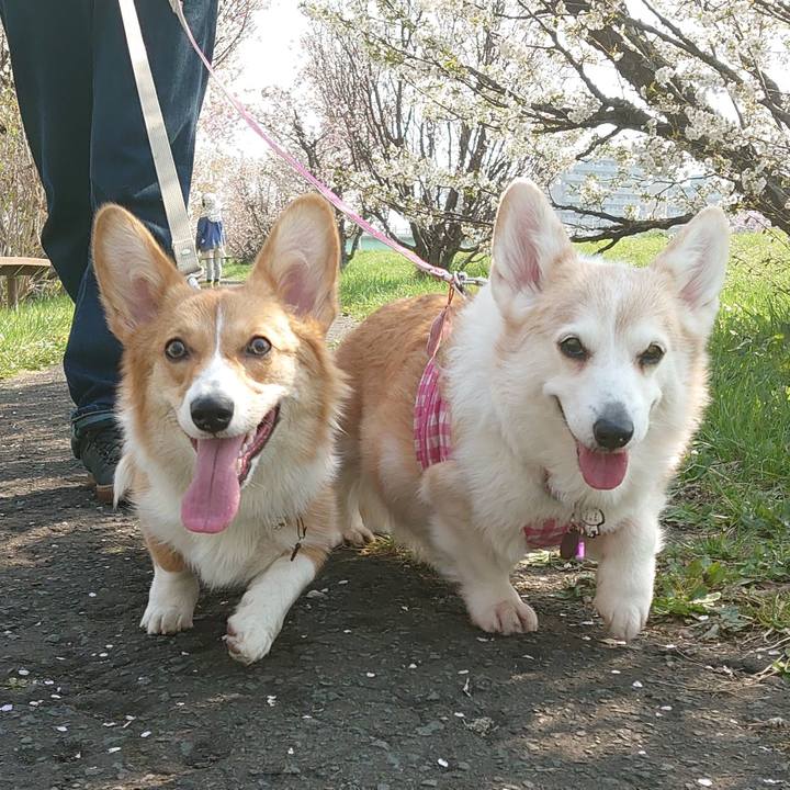 9faff6f1 cab6 4517 8396 1a2e279c3448 1773723905040