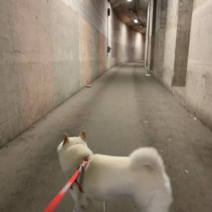 9fb013d9 504b 4d66 abee d00a2c329f98 1557530758469