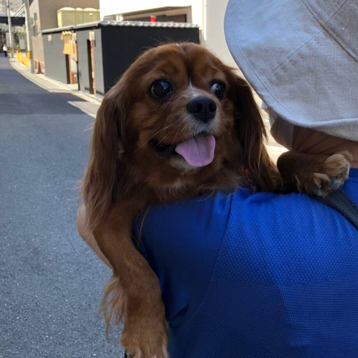 9fb028ca e978 4b29 b34f 5f2f94003d64 1591655229752