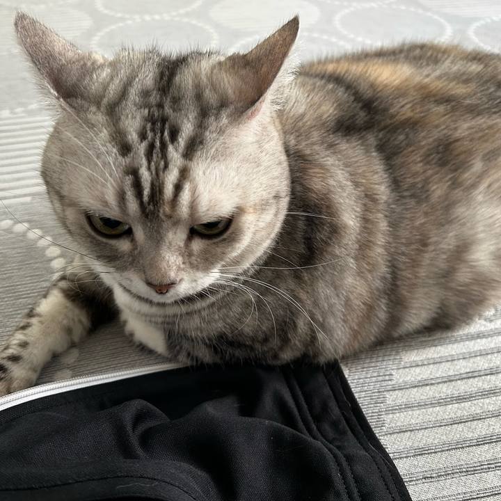 9fb0372f 38c3 4440 8d8f b006dd02c649 1760654158333