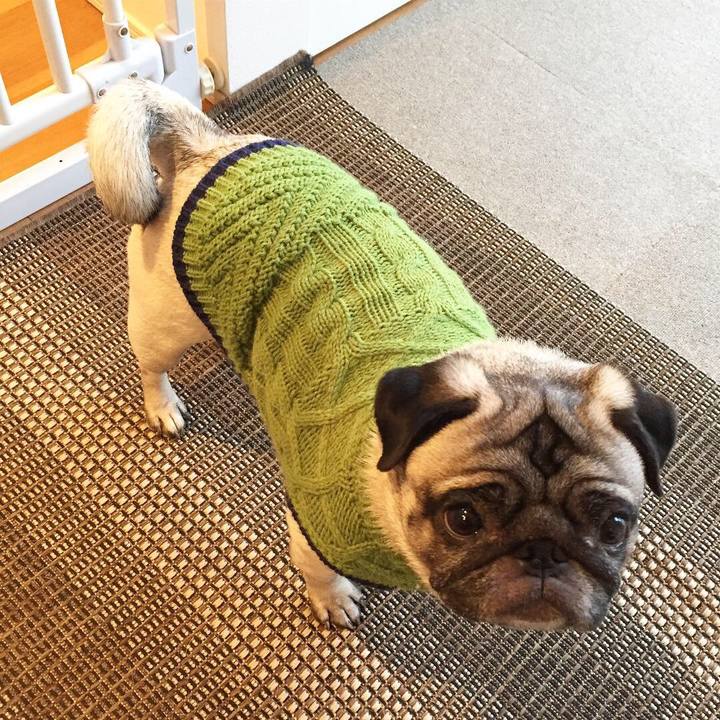 9fb04118 88dd 40bb 9078 6677529d3b02 1547733475473