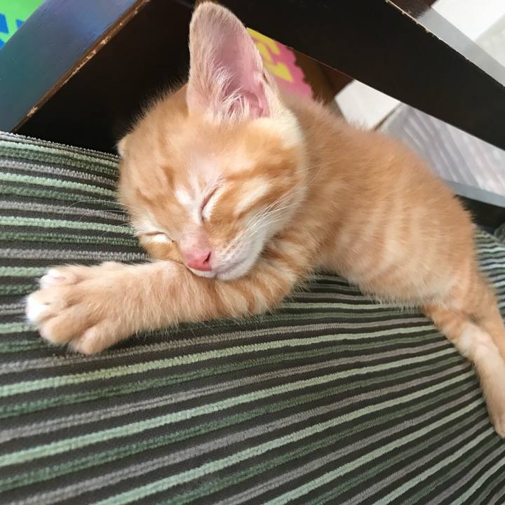 9fb0511d 8a00 4903 8a45 699ec3357da1 1575194305929