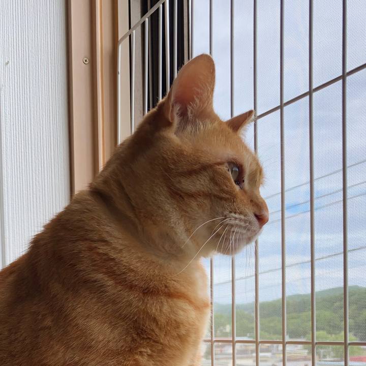 9fb05978 0dd0 43df a35e 2fb7b0a3b3f0 1563057416199