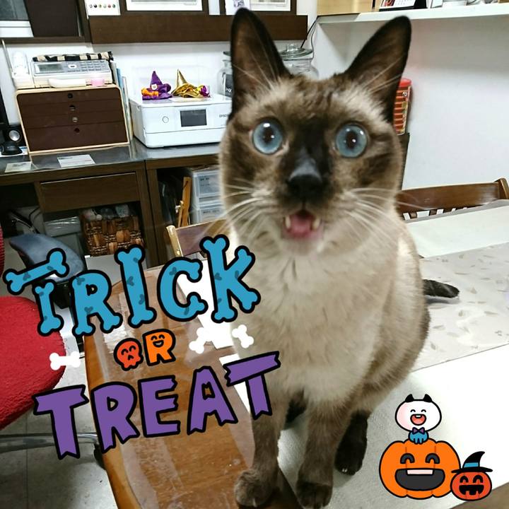 9fb05aea b76b 4c7d bc09 84d07ba1a532 1538693744349