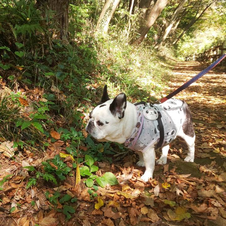 9fb05c1f e606 41de b17c 71c9f8041dfa 1668723763278