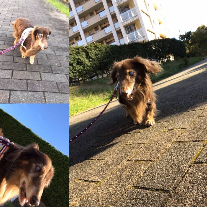 9fb06456 e6e3 49af ab8a 23a0078b8306 1573975024660