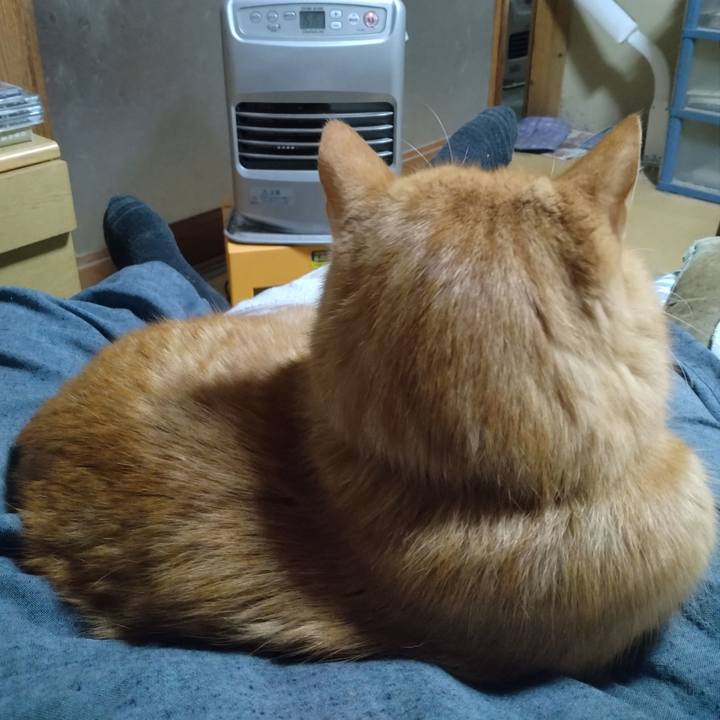 9fb0ae9d e026 44fb 93fa 9aa8a35d40a8 1764150280429