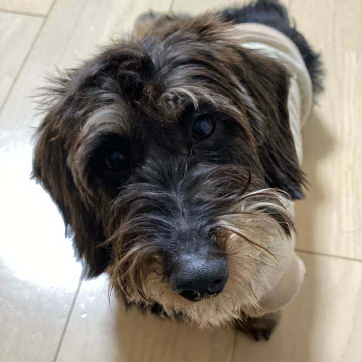 9fb0b7fa 7159 4749 a611 2cfa56473d52 1609765451848