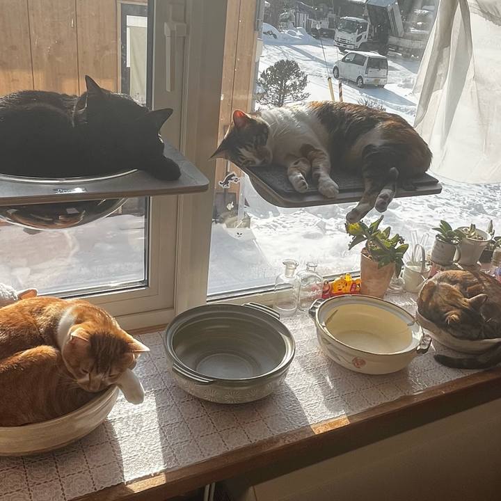 9fb0d4f7 b503 4d55 9f89 4b33f5bbac60 1705538678783