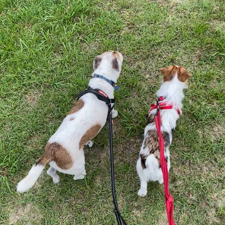 9fb10bac 2c59 4db8 a331 e5d446492deb 1630195646341