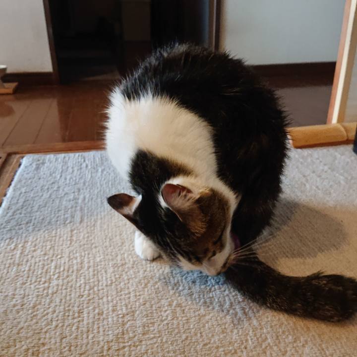 9fb120b3 64bd 455d 8efa eda6ba286235 1682807982390