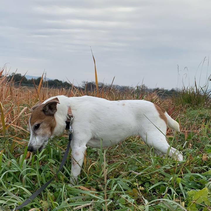 9fb14309 4651 456f 83c5 9b1c6949d772 1576976715816