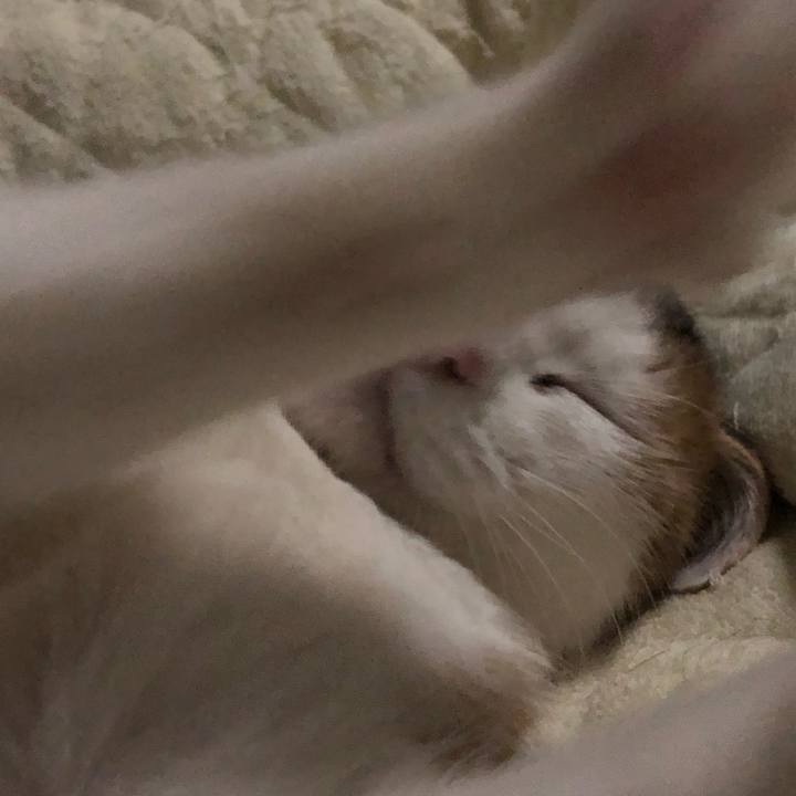 9fb1608c 2e5e 4855 9d01 790342e960ff 1611078901047