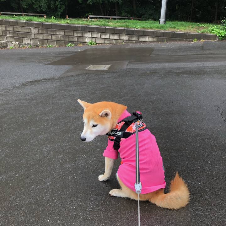 9fb1925c b39e 447f 871a f09db1468093 1599698873387