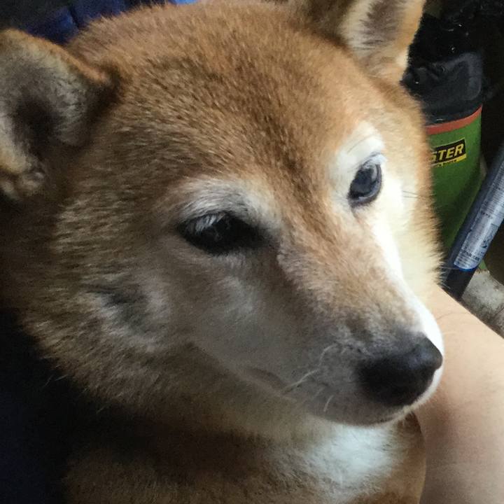 9fb193f5 619d 47d0 9efc 611a58df34ed 1627959493412