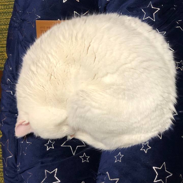 9fb1d6ae ddb2 4c66 b4b2 41fd986378a4 1541504974900