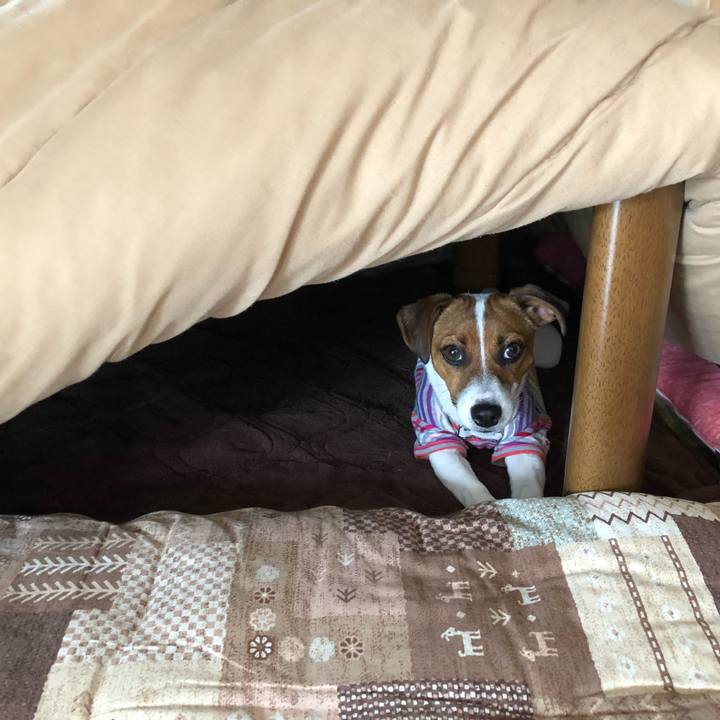 9fb2476b 3905 4398 b04a db6a27ca83b8 1523664138665