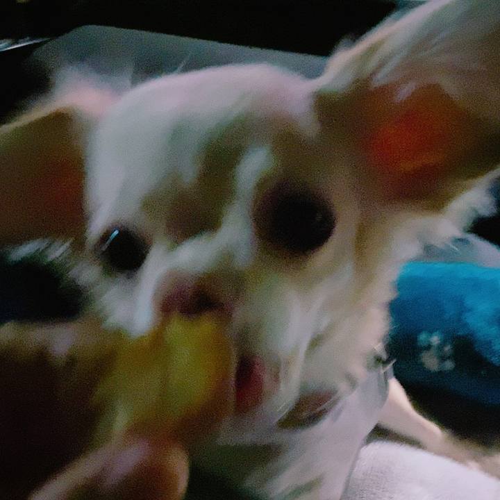 9fb25092 d0ca 4dba b718 a22228c92a61 1632488384939