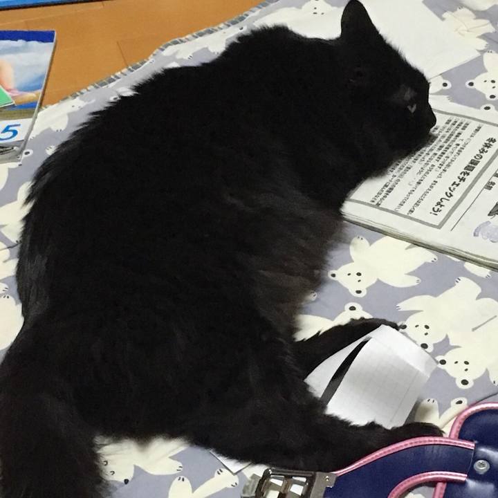 9fb2ff95 8932 4222 a3d2 9c38e0cd04fa 1516368044378