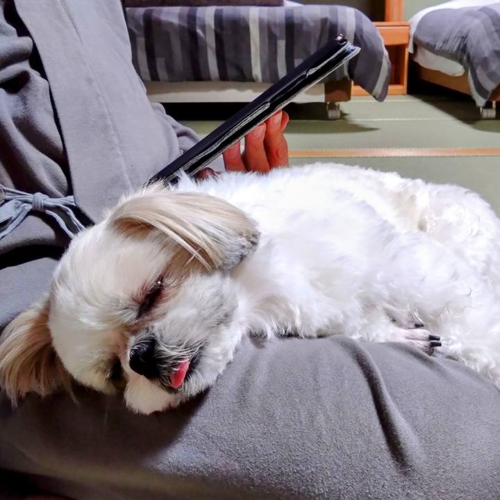 9fb3263e 64c1 4338 b533 5ce43dabdec0 1708171116115