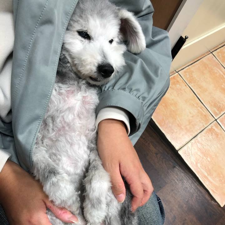 9fb340a7 5874 417b b64f 2087ea031328 1667778942336