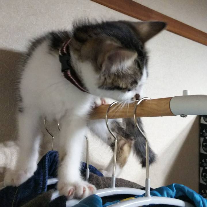 9fb34665 e819 4839 ac5c f098e1137292 1607866041694