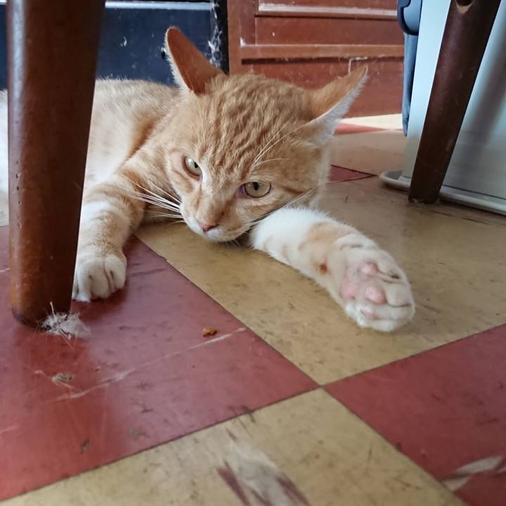 9fb348d2 2ec6 49a7 aaba a788dfc480f6 1564631442824