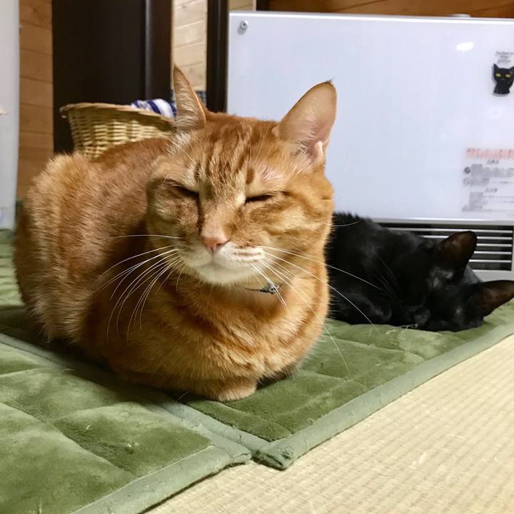 9fb39d37 487d 4e7c 8e9f 44813e17a285 1518696627931