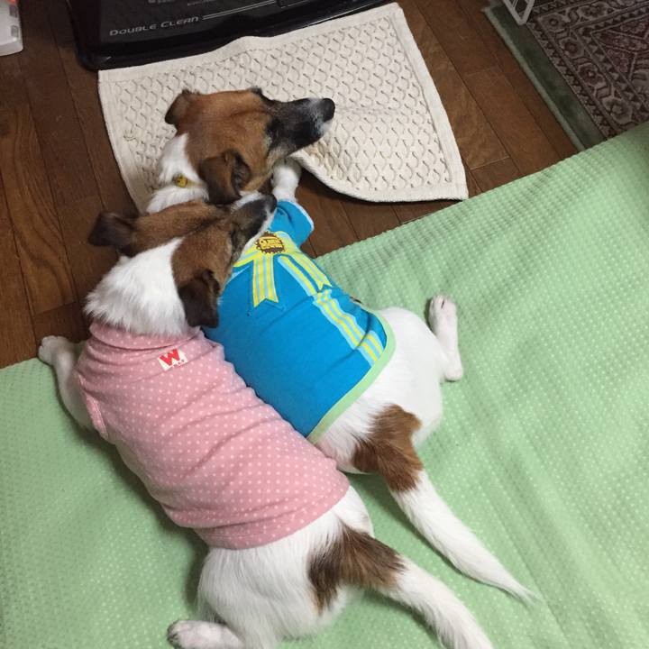 9fb3c32e 3849 4f75 80fa a7e5fb561886 1509258623363