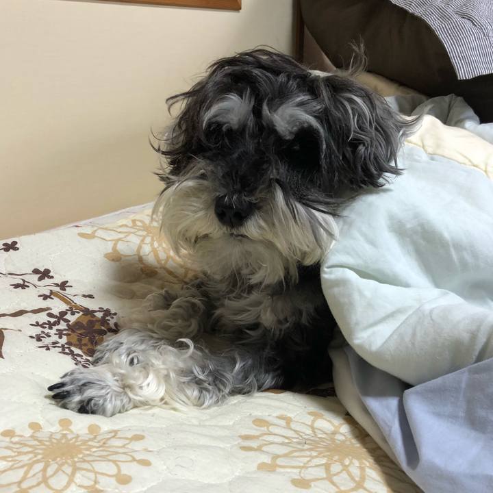 9fb3c7fe 136c 4db6 a670 02f875a7a858 1529276221206