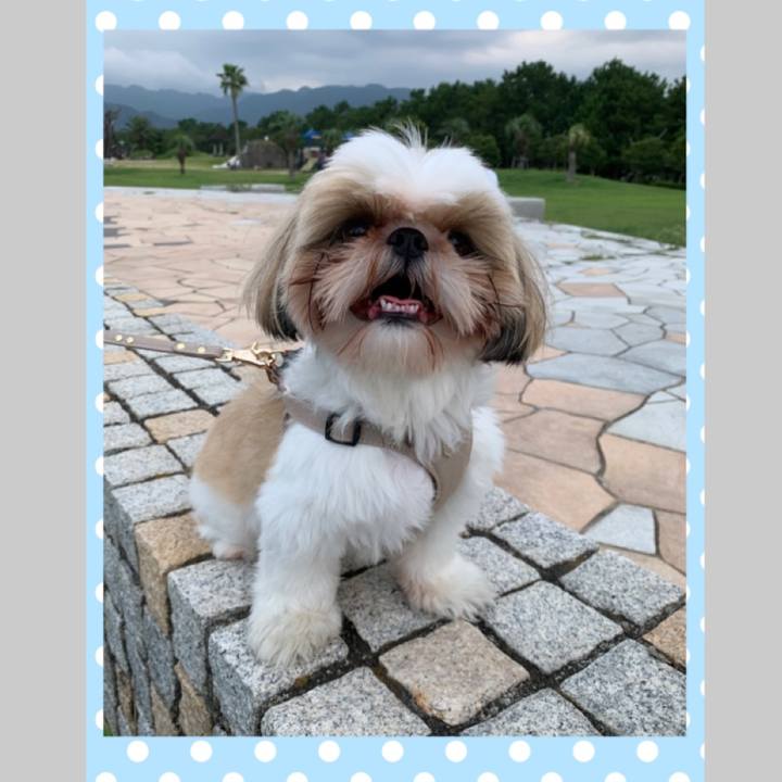 9fb3d59b 750b 45ed 997f c3c3f50a554f 1599450328649