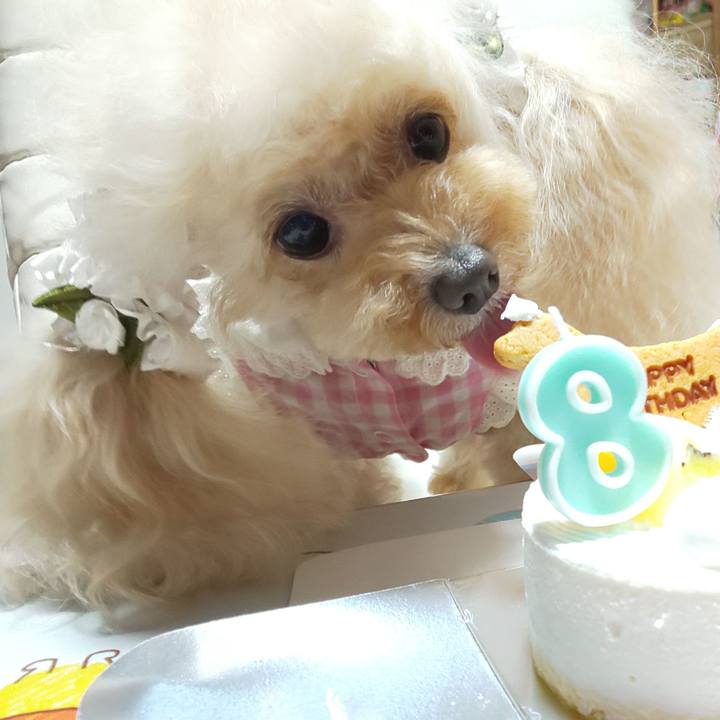 9fb42268 74b4 4ea2 ad21 dd48e92abdc7 1660306285029