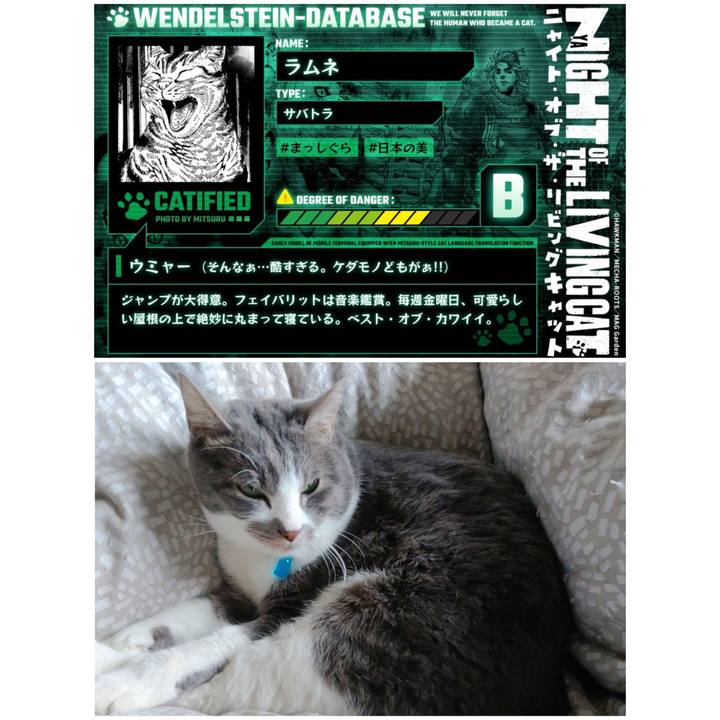 9fb42c09 d921 43a5 aa6a 1b773fe50d37 1710340343474