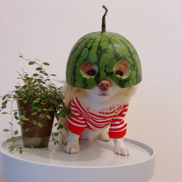 9fb42e8f 1bb4 4b78 b0c5 a8f17540a34e 1754314132215