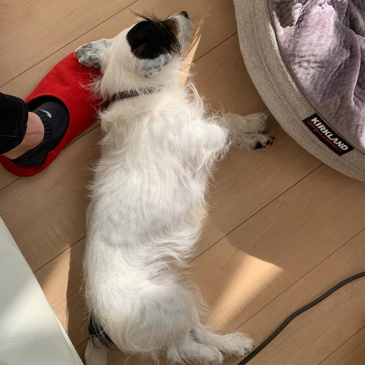 9fb465c7 6fb3 426c b785 f75a6b721529 1614142872538