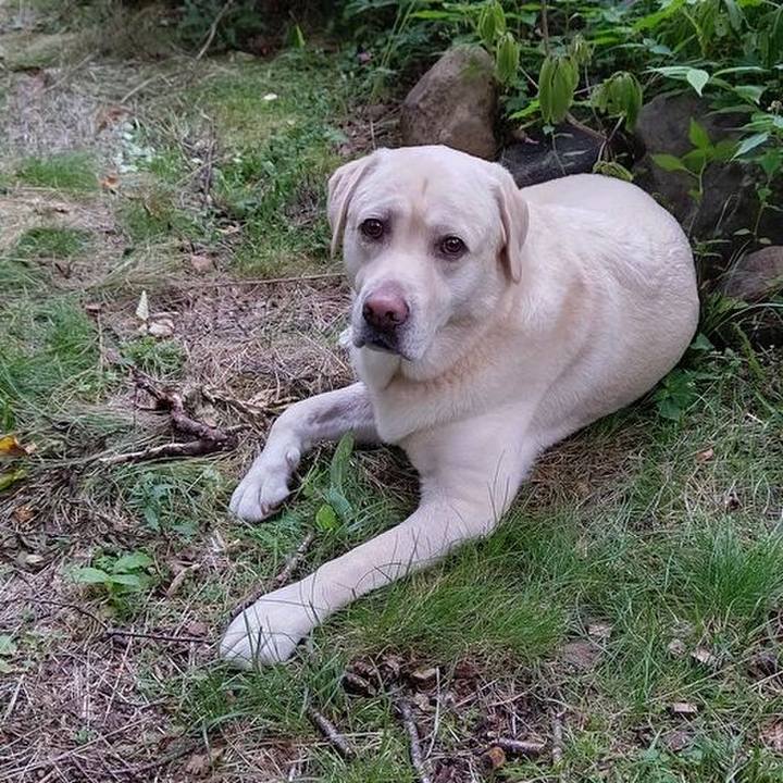 9fb471c2 1756 496c 952b 7e0c39c3ae01 1661678645835