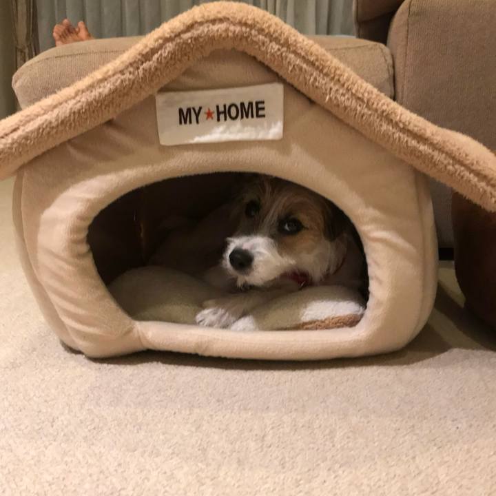 9fb4a6eb 3223 48aa baff 383d17974a45 1764683007804