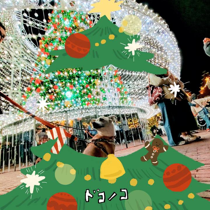 9fb4bcfe 0c63 4f39 8fcc e0810bc1e73b 1764111183340