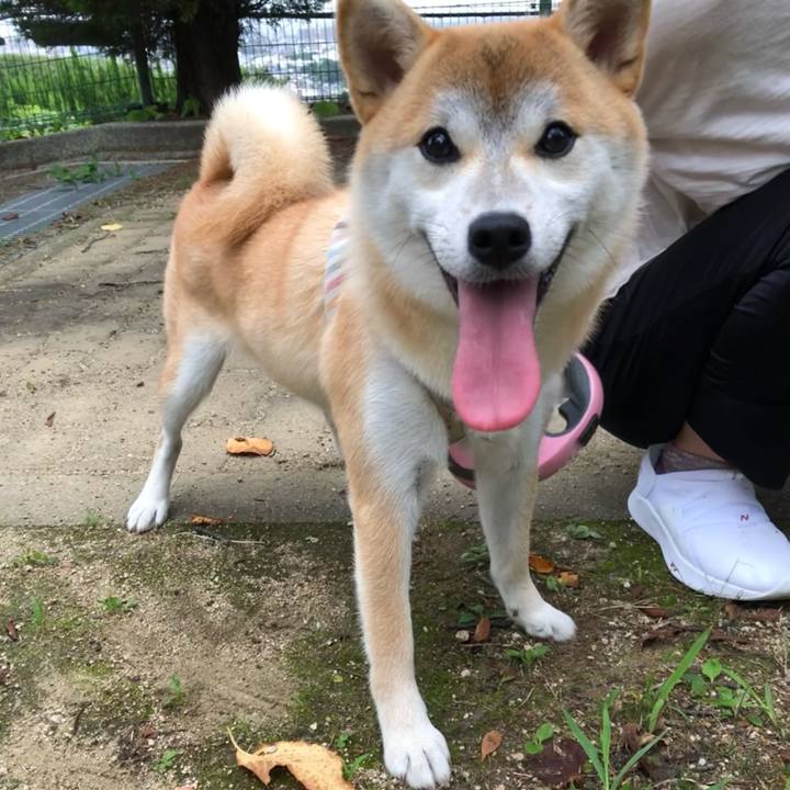 9fb4d1bc 173a 434b b0b1 60e59fed34be 1629876573957