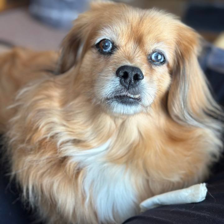 9fb4f5a2 e2c9 4d21 ac9a e7968817449b 1746133916248