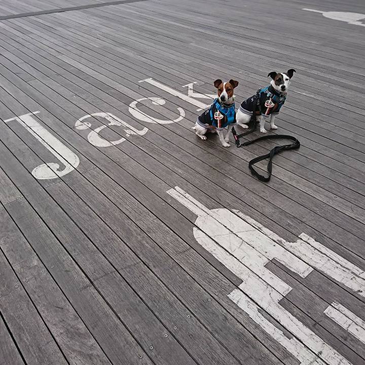 9fb522dc c1ea 4320 bd87 a79bcd03b41c 1578713180617