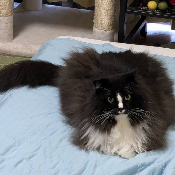 9fb5264b 37d3 40b0 85a4 b158cb957c9a 1730930293126