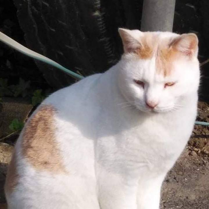 9fb55fc6 a72a 4927 9bf1 72a965746928 1639127887991