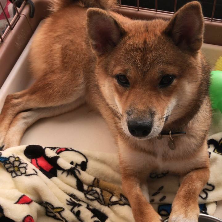 9fb5895d 6ec8 4feb 9fe7 086b2e9c6f6d 1540301553423