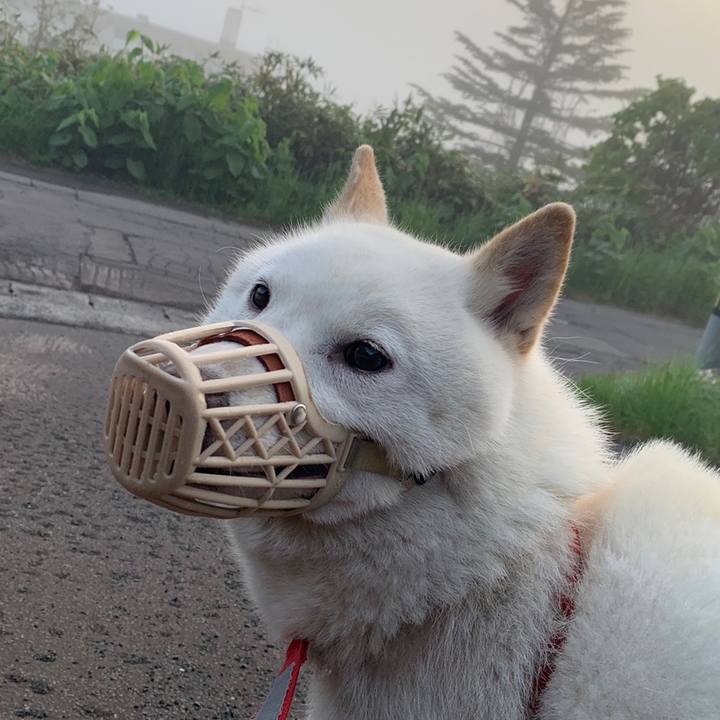 9fb5c6f9 1439 47c5 bf19 dbd2a9e7a2f4 1558472580081