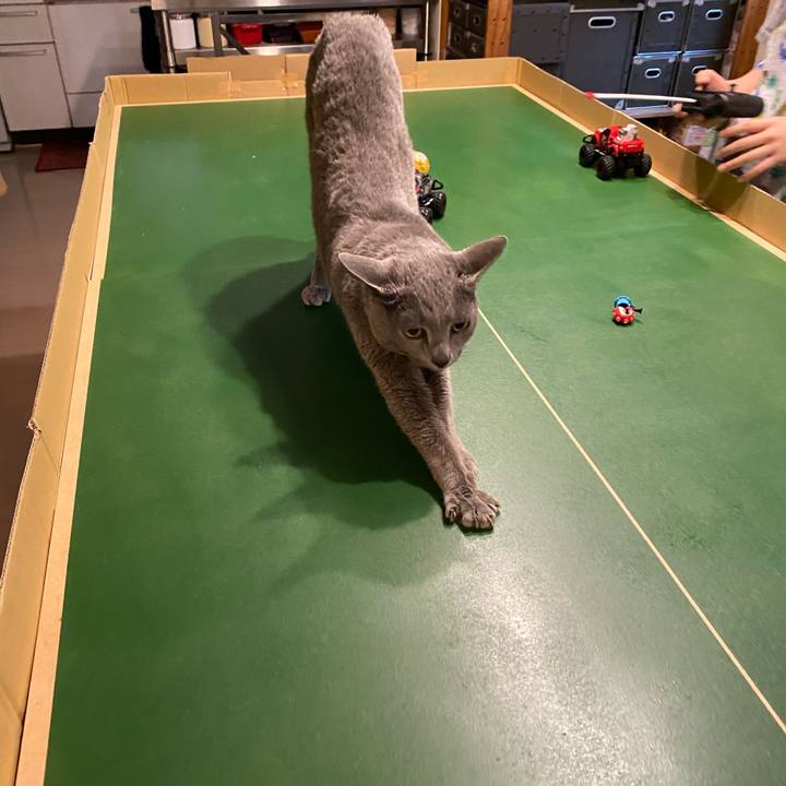 9fb5d91c 123d 4f51 ad4f c585b4c11f1e 1589016702780